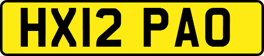 HX12PAO