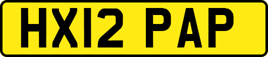 HX12PAP