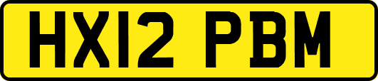 HX12PBM