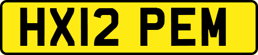 HX12PEM