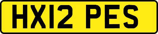 HX12PES