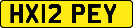 HX12PEY