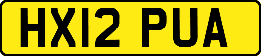 HX12PUA