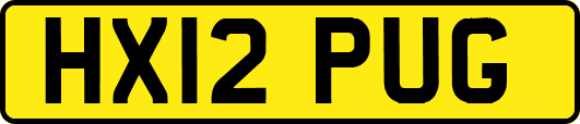 HX12PUG