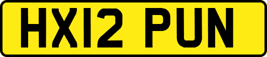 HX12PUN