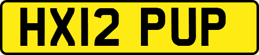 HX12PUP