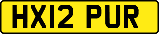 HX12PUR