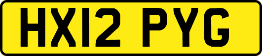 HX12PYG