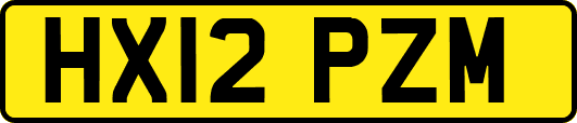 HX12PZM
