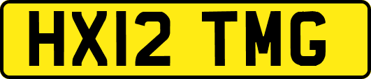 HX12TMG