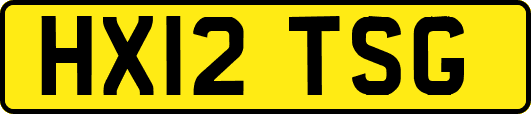 HX12TSG