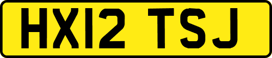 HX12TSJ