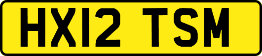 HX12TSM