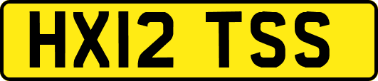 HX12TSS