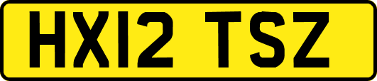 HX12TSZ