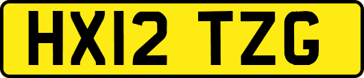 HX12TZG