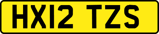 HX12TZS