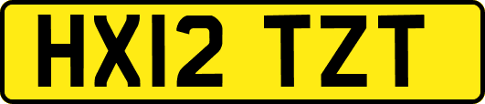 HX12TZT