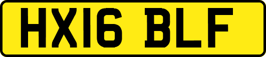 HX16BLF