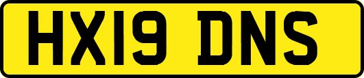 HX19DNS