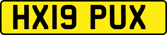 HX19PUX