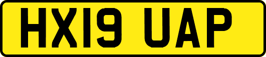 HX19UAP