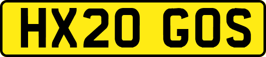 HX20GOS