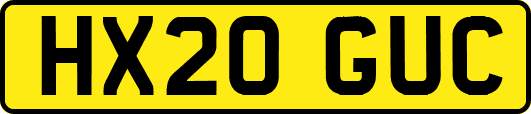 HX20GUC