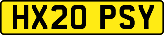 HX20PSY