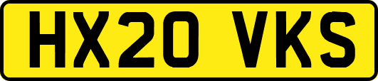 HX20VKS