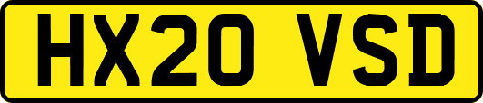 HX20VSD