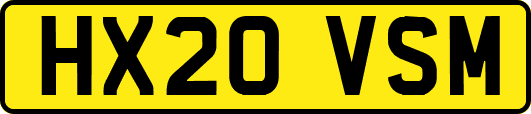 HX20VSM