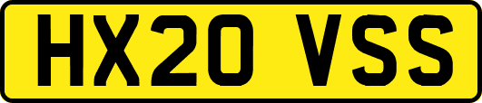 HX20VSS