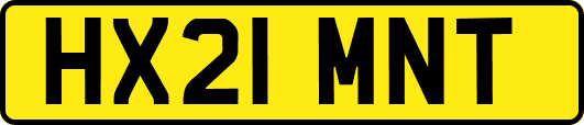 HX21MNT