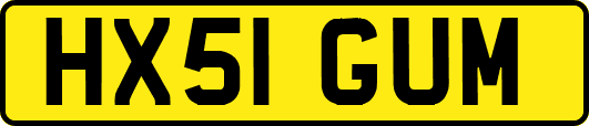 HX51GUM