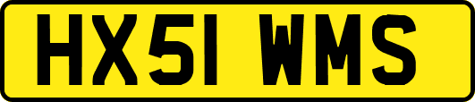 HX51WMS