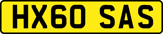 HX60SAS