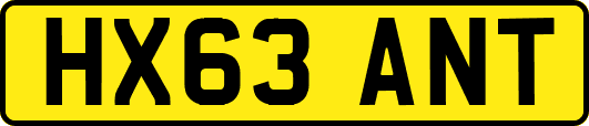 HX63ANT