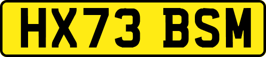 HX73BSM