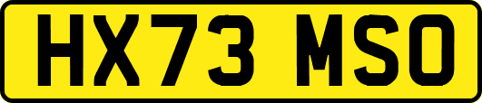HX73MSO