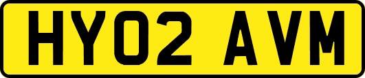 HY02AVM