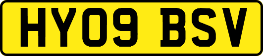 HY09BSV