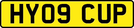 HY09CUP