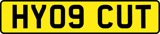 HY09CUT