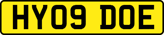 HY09DOE