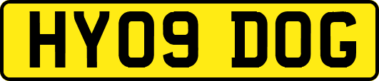 HY09DOG