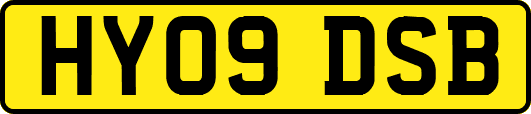 HY09DSB