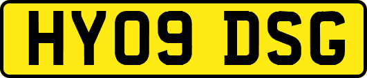 HY09DSG