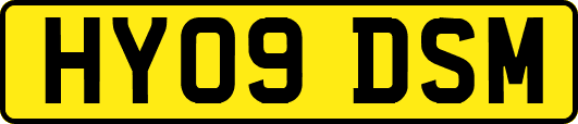 HY09DSM