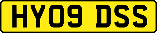 HY09DSS